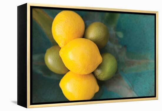 Lemons-Karyn Millet-Framed Premier Image Canvas