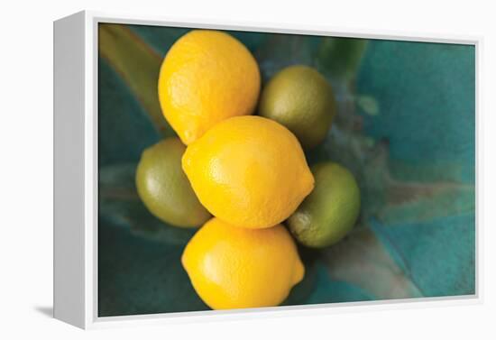 Lemons-Karyn Millet-Framed Premier Image Canvas