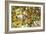 Lemons-Victor De Schwanberg-Framed Photographic Print