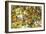 Lemons-Victor De Schwanberg-Framed Photographic Print