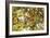 Lemons-Victor De Schwanberg-Framed Photographic Print