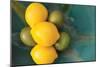 Lemons-Karyn Millet-Mounted Photographic Print