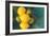 Lemons-Karyn Millet-Framed Photographic Print