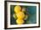 Lemons-Karyn Millet-Framed Photographic Print