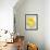 Lemons-Alena Hrbkova-Framed Photographic Print displayed on a wall