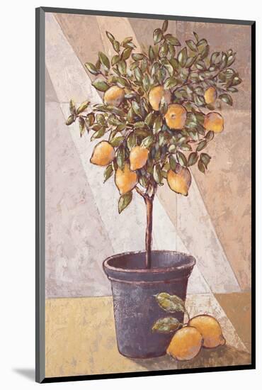 Lemontree-Karsten Kirchner-Mounted Art Print