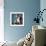 Lemur Kata (Lemur Catta)-l i g h t p o e t-Framed Photographic Print displayed on a wall