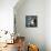 Lemur Kata (Lemur Catta)-l i g h t p o e t-Mounted Photographic Print displayed on a wall