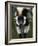 Lemur, Madagascar-Andres Morya Hinojosa-Framed Photographic Print