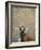 Lemur-James W. Johnson-Framed Giclee Print