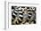 Lemurs (Lemuroidea), Cotswold Safari Park, Oxfordshire, England, United Kingdom, Europe-John Alexander-Framed Photographic Print