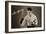 Len Harvey, Light Heavy Weight Boxing Champion of Great Britain, 1935-null-Framed Giclee Print