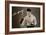 Len Harvey, Light Heavy Weight Boxing Champion of Great Britain, 1935-null-Framed Giclee Print