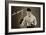 Len Harvey, Light Heavy Weight Boxing Champion of Great Britain, 1935-null-Framed Giclee Print