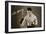 Len Harvey, Light Heavy Weight Boxing Champion of Great Britain, 1935-null-Framed Giclee Print