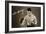 Len Harvey, Light Heavy Weight Boxing Champion of Great Britain, 1935-null-Framed Giclee Print