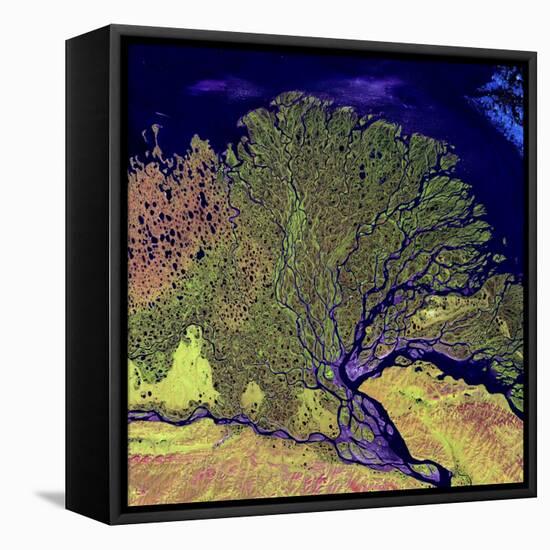 Lena River Delta, Russia-null-Framed Premier Image Canvas