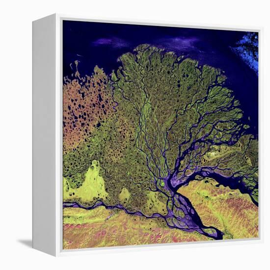 Lena River Delta, Russia-null-Framed Premier Image Canvas