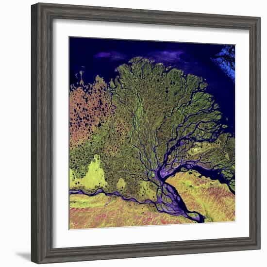 Lena River Delta, Russia-null-Framed Premium Photographic Print