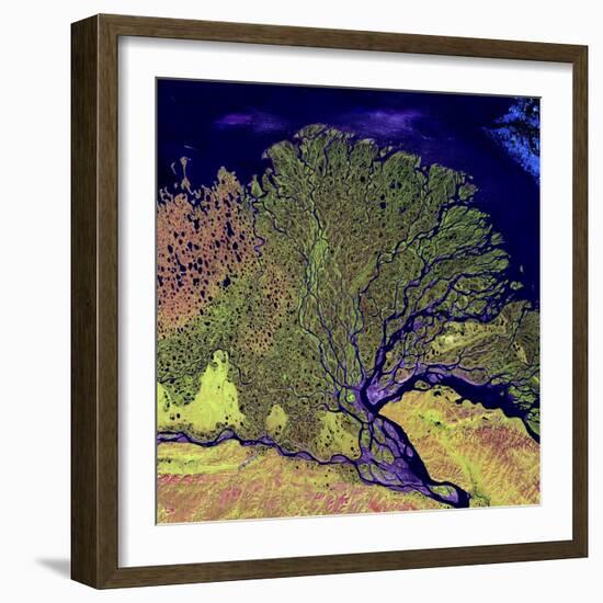 Lena River Delta, Russia-null-Framed Premium Photographic Print