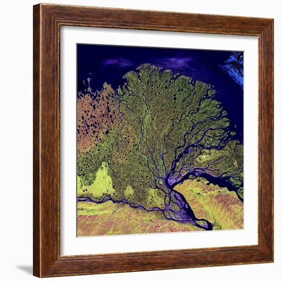 Lena River Delta, Russia-null-Framed Premium Photographic Print