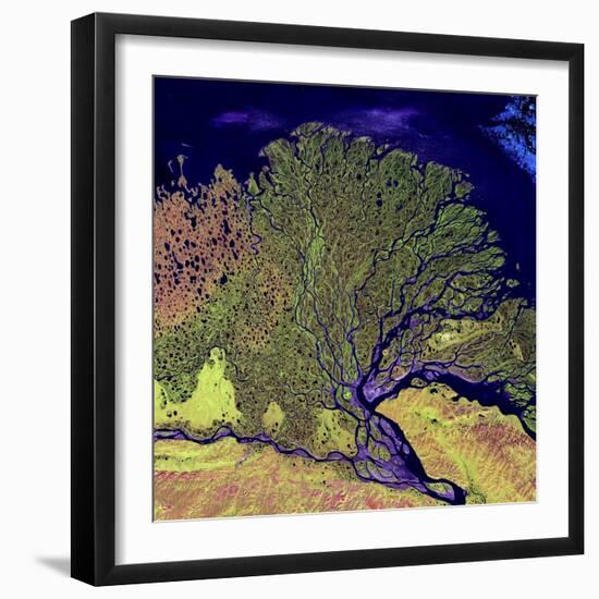 Lena River Delta, Russia-null-Framed Premium Photographic Print