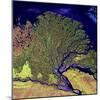 Lena River Delta, Russia-null-Mounted Premium Photographic Print