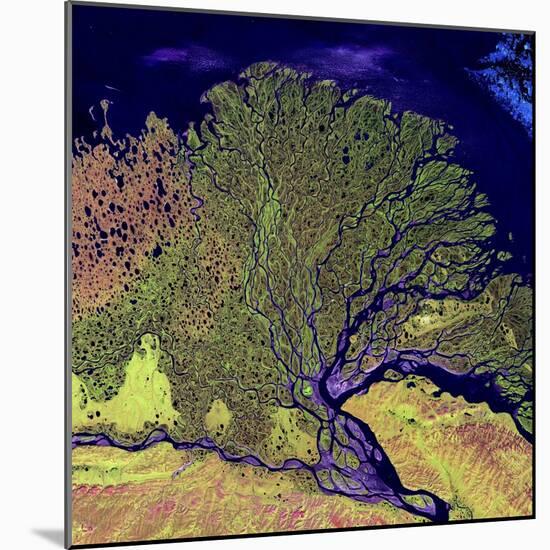 Lena River Delta, Russia-null-Mounted Premium Photographic Print