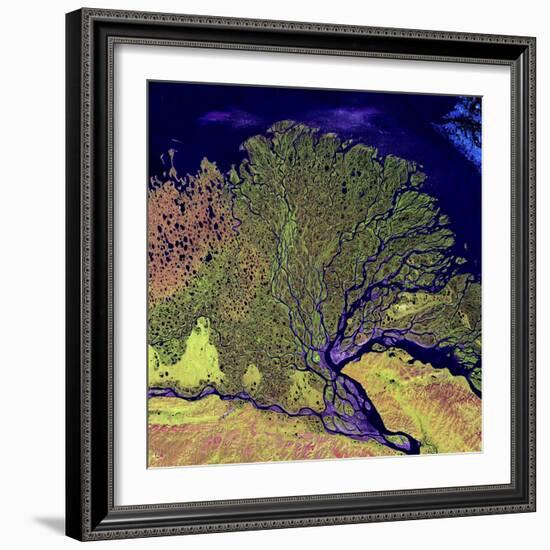 Lena River Delta, Russia-null-Framed Premium Photographic Print