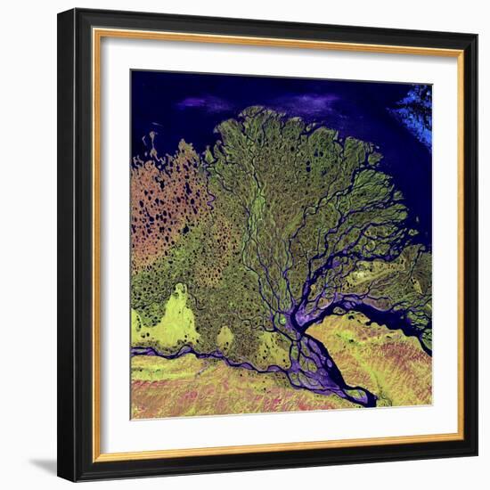 Lena River Delta, Russia-null-Framed Premium Photographic Print