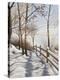 Stretched Canvas Print
