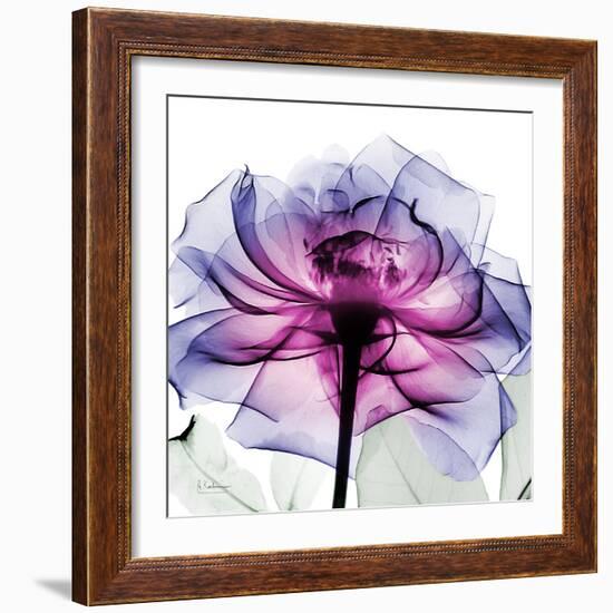 Leni Rose 2-Albert Koetsier-Framed Art Print