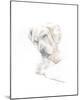 Leni The Labrador-Kellas Campbell-Mounted Giclee Print