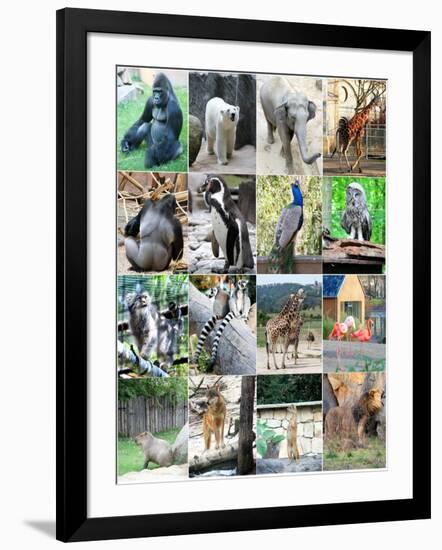 Art Print, , large