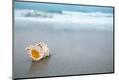 Premium Photographic Print