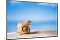 Premium Photographic Print
