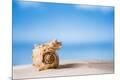 Premium Photographic Print