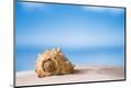 Premium Photographic Print