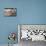 Lennon Wall, Prague-Mark Williamson-Mounted Photographic Print displayed on a wall