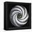 Lense Swirl with Palm Tree, 2005-Carolyn Hubbard-Ford-Framed Premier Image Canvas