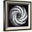 Lense Swirl with Palm Tree, 2005-Carolyn Hubbard-Ford-Framed Giclee Print