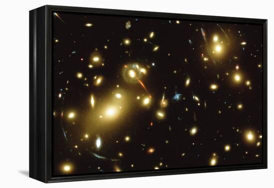 Lensed Galaxies-null-Framed Premier Image Canvas