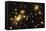 Lensed Galaxies-null-Framed Premier Image Canvas