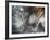 Lentejuelas-Ursula Abresch-Framed Premium Photographic Print