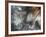 Lentejuelas-Ursula Abresch-Framed Premium Photographic Print