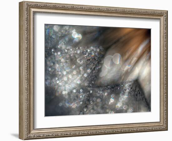 Lentejuelas-Ursula Abresch-Framed Photographic Print