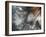 Lentejuelas-Ursula Abresch-Framed Photographic Print