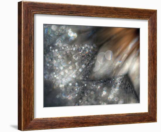 Lentejuelas-Ursula Abresch-Framed Photographic Print