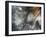 Lentejuelas-Ursula Abresch-Framed Photographic Print