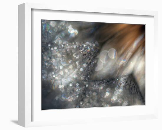 Lentejuelas-Ursula Abresch-Framed Photographic Print